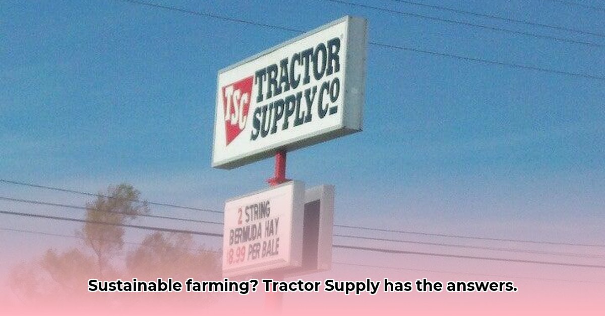 tractor-supply-bentonville